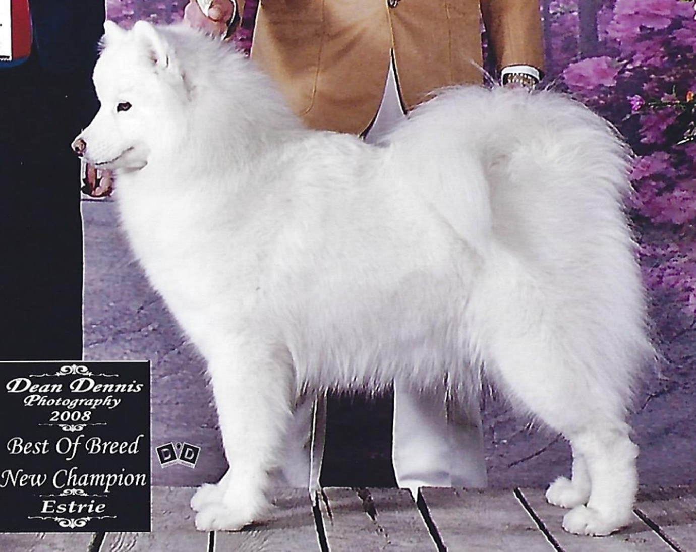 CH ETOILPOLAIRE VODKASAM PARTUICE